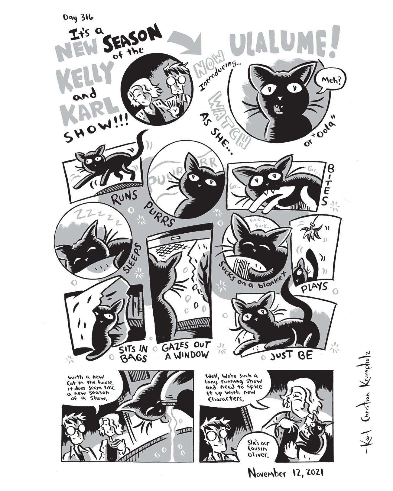 316-Diary-Comic-Nov-12-2021