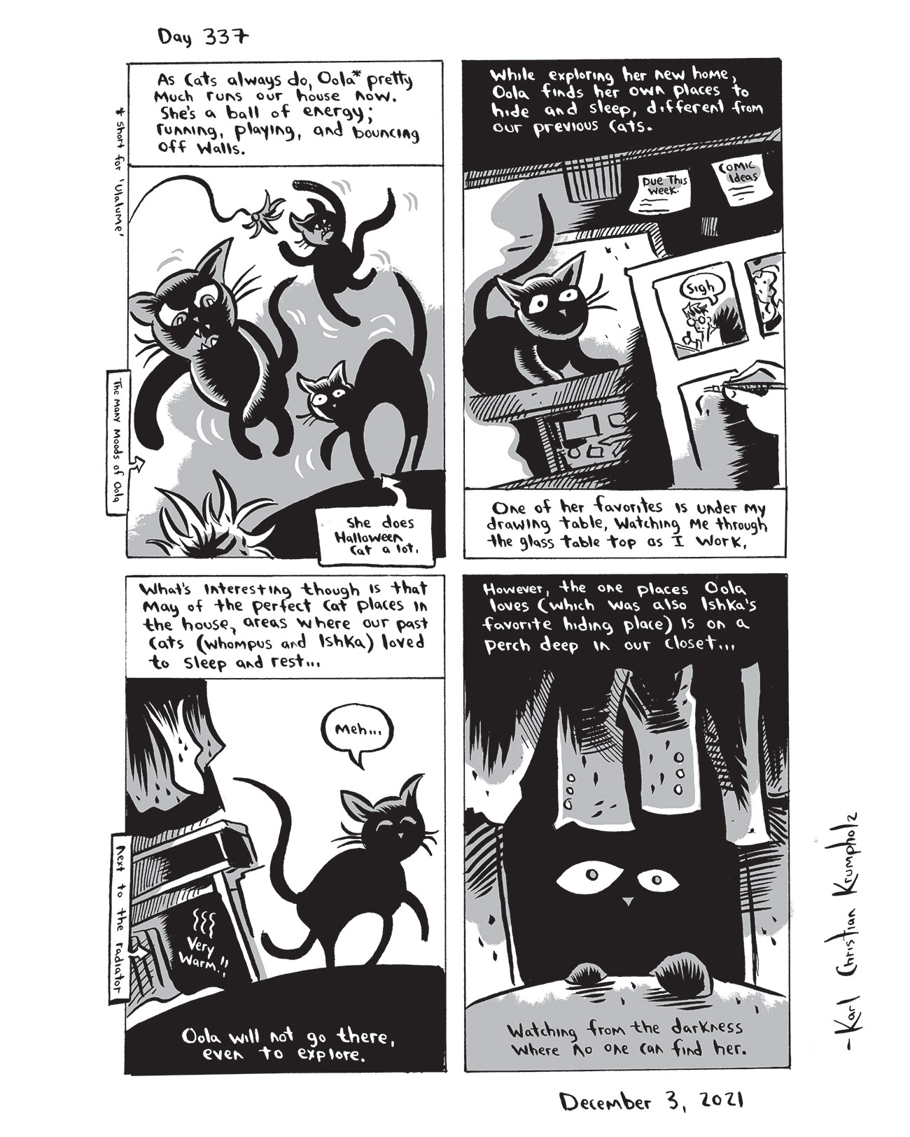 337-Diary-Comic-Dec-03-2021